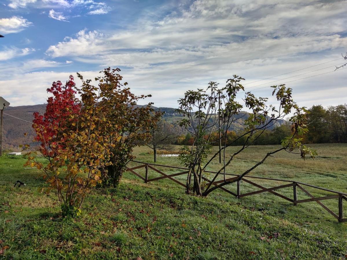 "Borgo Gerbina" Agriturismo & Azienda Agricola Sozzi Exteriör bild